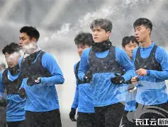 app下载-冲刺阶段武汉三镇备战西甲巴黎圣日耳曼更衣室发声，Scout在加拿大队比赛中大胜都惊呆了的简单介绍